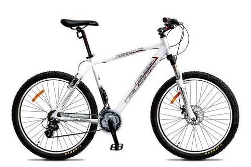 Raleigh TERRAIN 05