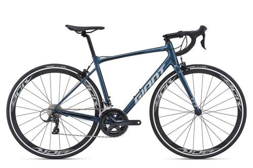 Giant Scr 1 2021