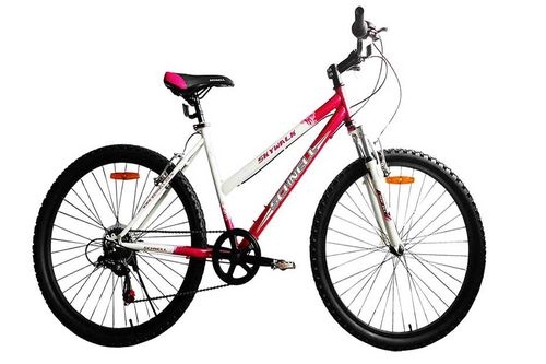 Schnell Skywall SS