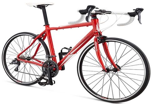 Schwinn FASTBACK 3 2015