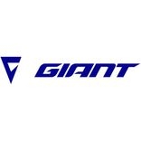 Giant brand logo
