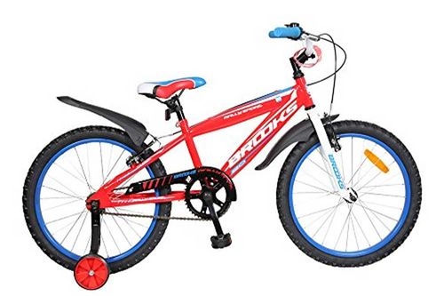 Rally Sport 20 V/S Riverside 100 Red Hybrid cycle