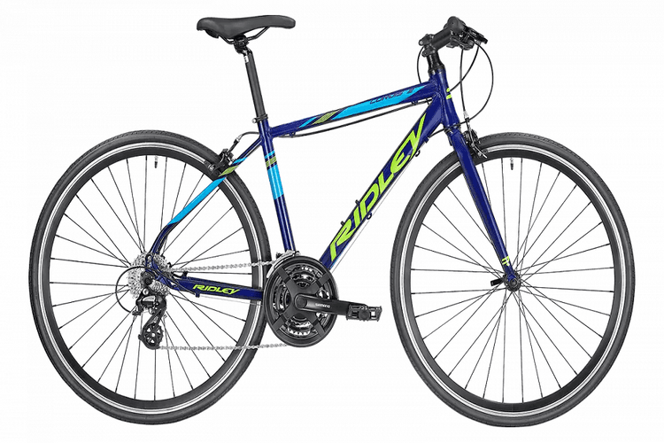 Ridley Cito(24)Blue(2019)