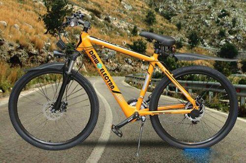 DMW Electra Electric Bicycle