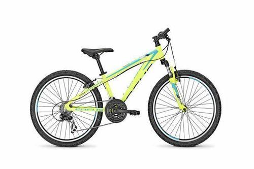 फोकस Raven Rookie 24 1.0