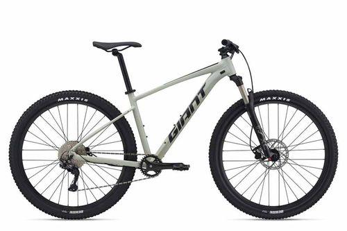 जायंट Talon 29 1(2021)