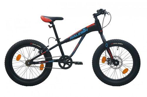 Raleigh BIG SAM 20