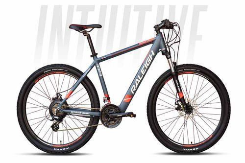 Raleigh INTUITIVE