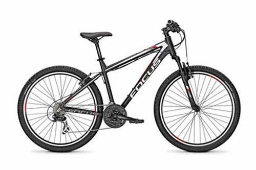 फोकस Raven Rookie 26 1.0