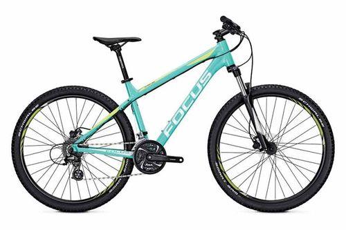 Focus Whistler Evo 29