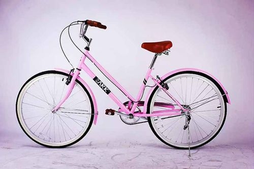 Bike-Ark Exo